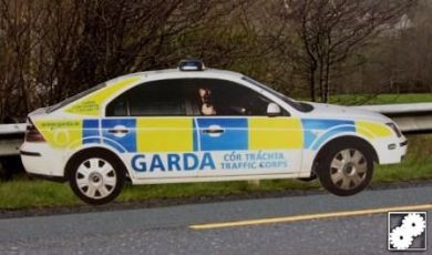 GARDA CROWN VIC texture