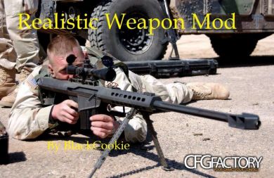 Realistic Weapon Mod