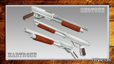 New Shotgun