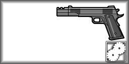 Colt M1911A1 Punisher