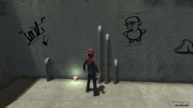 Mario Mushroom Health Kit