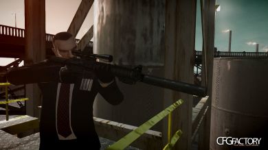 Stoner Rifle (SR) 25