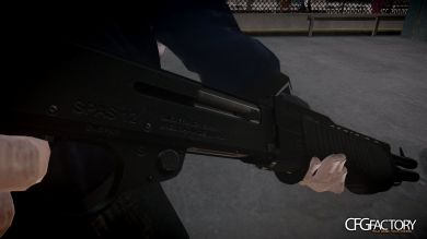 SPAS-12