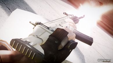 Scar-L