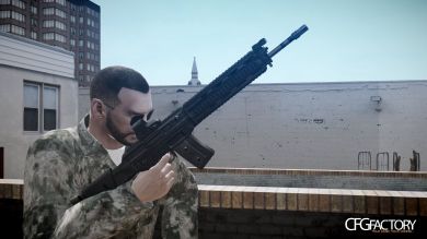 Sig Sauer SG751