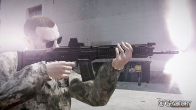Sig Sauer SG751