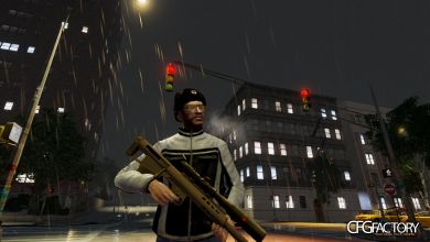 Rifles for terrorist