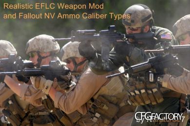 Realistic EFLC Weapon Mod and FNV Ammo Caliber Typ