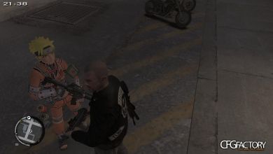 Custom and Realistic WeaponInfo Pack for Cool Guns