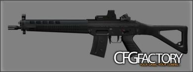 SIG 551