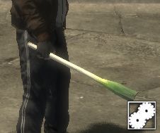 Leek/Negi/Welsh Onion