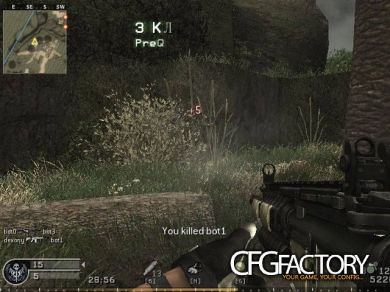 MW2 Mod+pezbots