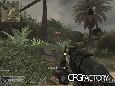 MW2 Mod+pezbots