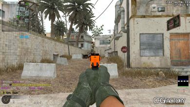 deagle skin