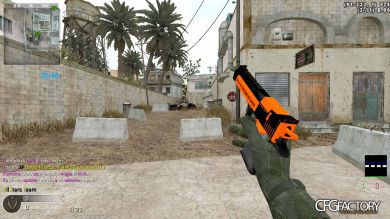 deagle skin