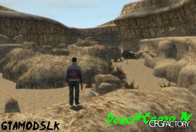 Desert Camp IV