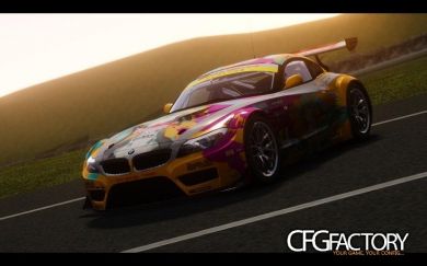 BMW Z4GT3 2010æ¬¾å&eacute
