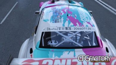 BMW Z4GT3 2010æ¬¾å&eacute