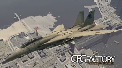F-14 Tomcat