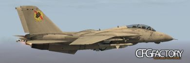 F-14 Tomcat