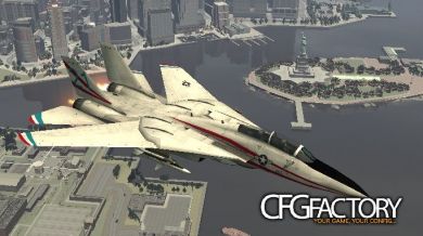 F-14 Tomcat