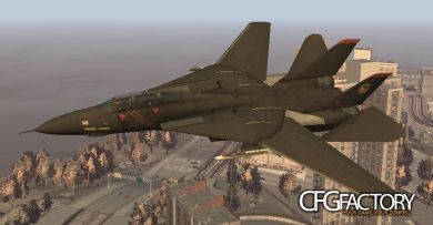 F-14 Tomcat