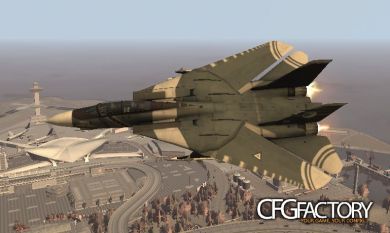 F-14 Tomcat