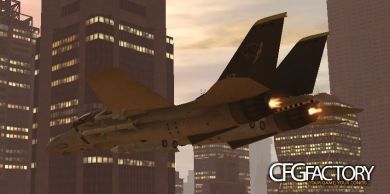 F-14 Tomcat