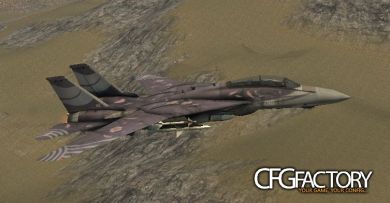 F-14 Tomcat