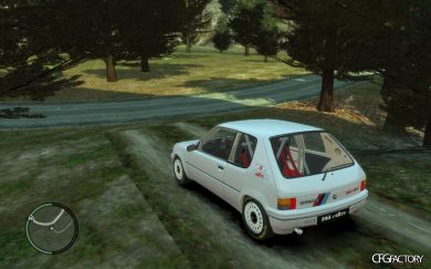 Peugeot 205 Rally Stock Textures