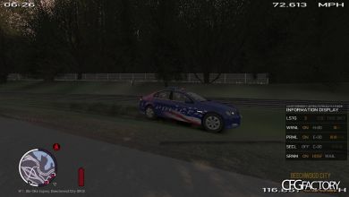 Holden Commodore Omega Series II NYPD Skin