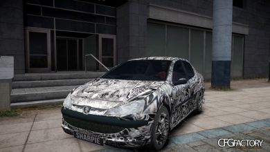 206 SD Sharpie Paint Job