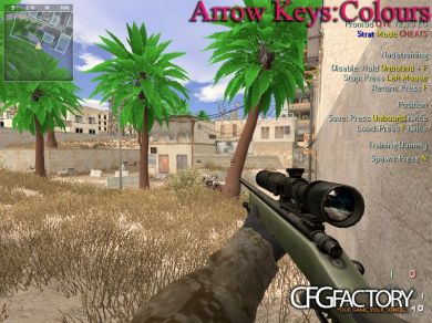 euphoria's cfg @n8400gs Gameranger FPS cfg