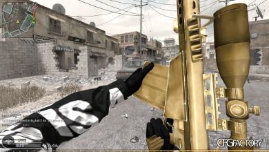 Golden Barret .50 Cal