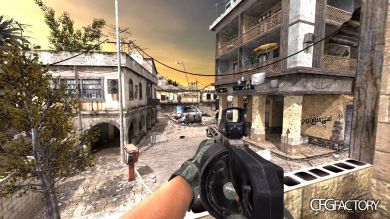 MW2 Striker