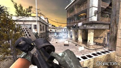 MW2 Striker