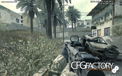 bo2 fal osw
