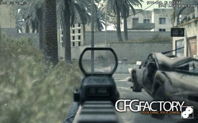 bo2 fal osw