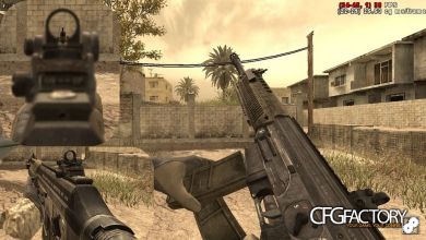 bo2 sig556