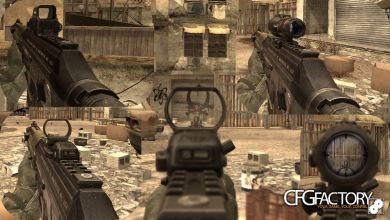 bo2 sig556