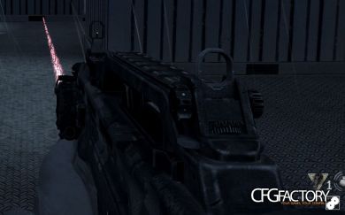 bo2 type25