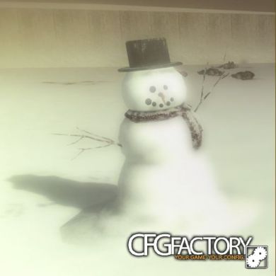 BO2 Snowman + hat