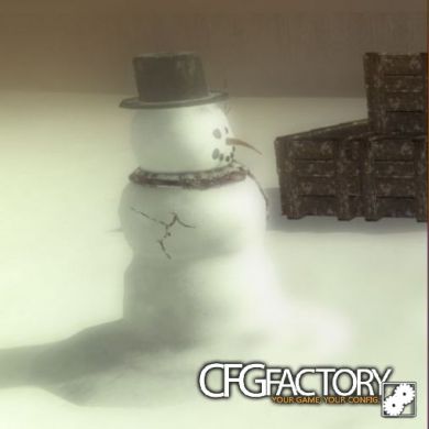 BO2 Snowman + hat