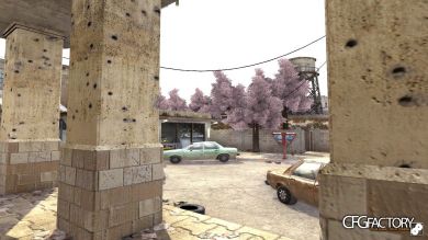 Sakura Trees