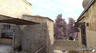Sakura Trees