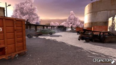 Sakura Trees