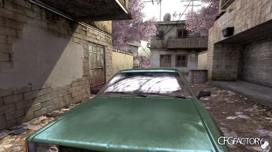 Sakura Trees