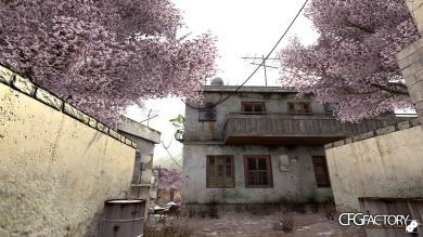 Sakura Trees