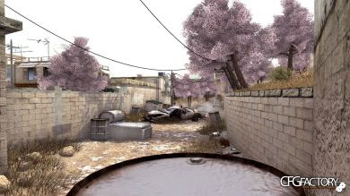 Sakura Trees