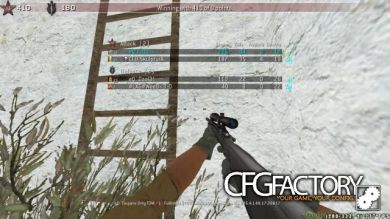 eQ' Frizz CFG
